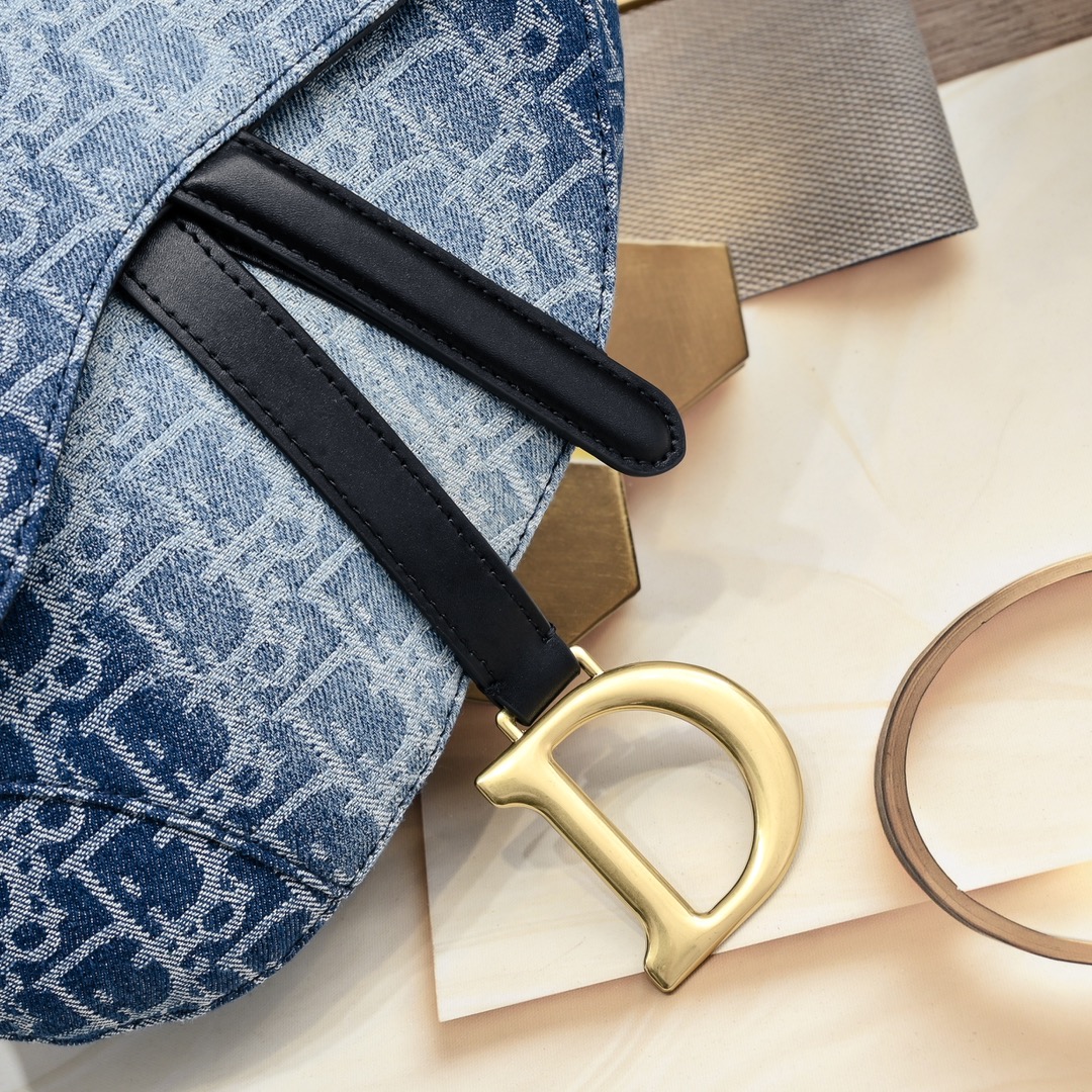 Dior Saddle Bag 6677 LM022 25.5cm