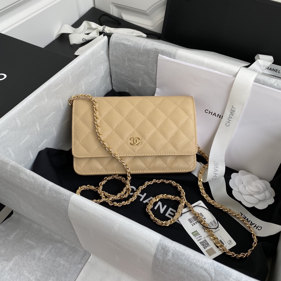 Top quality Chanel WOC 19cm 0250