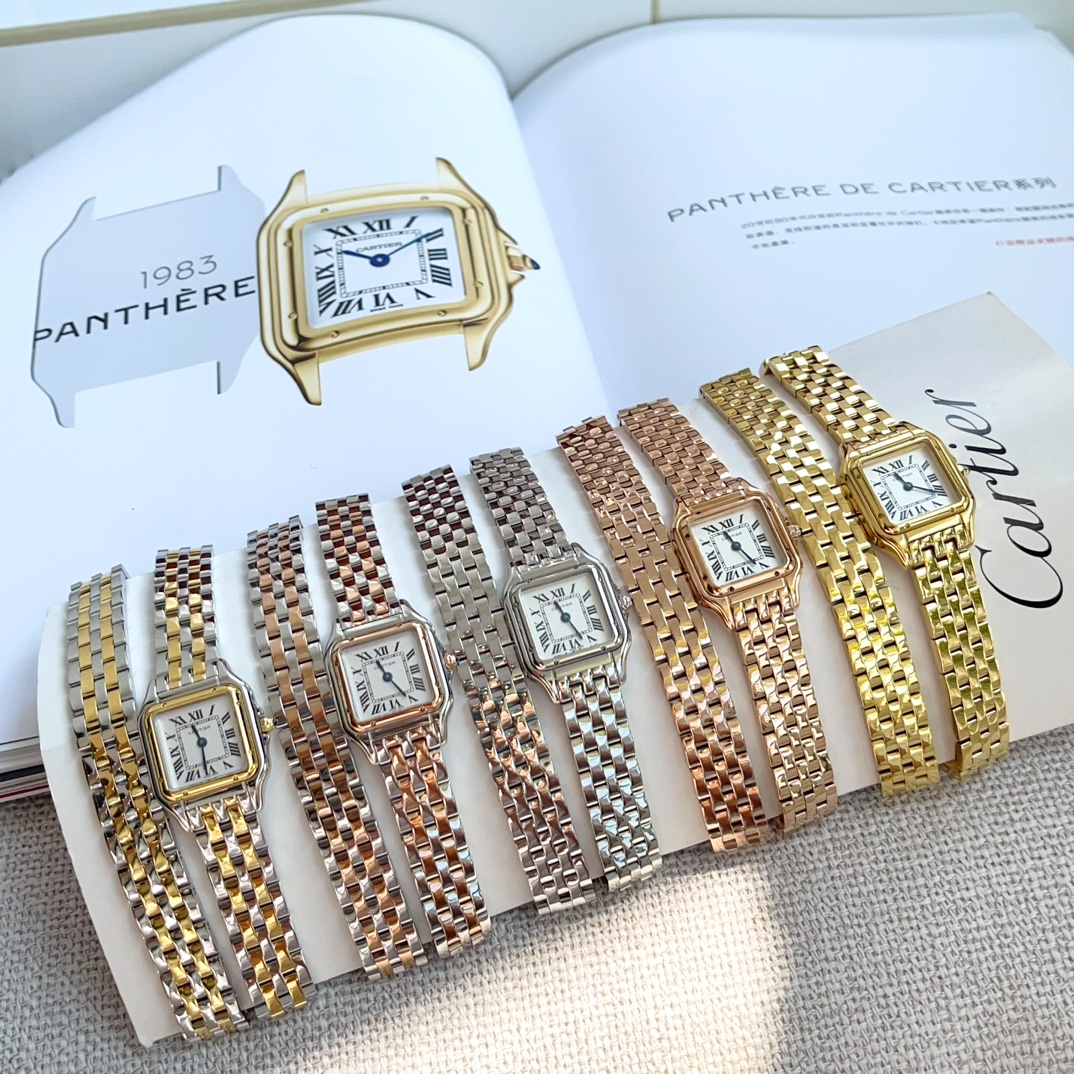 Panthère de Cartier double chain 22*30mm