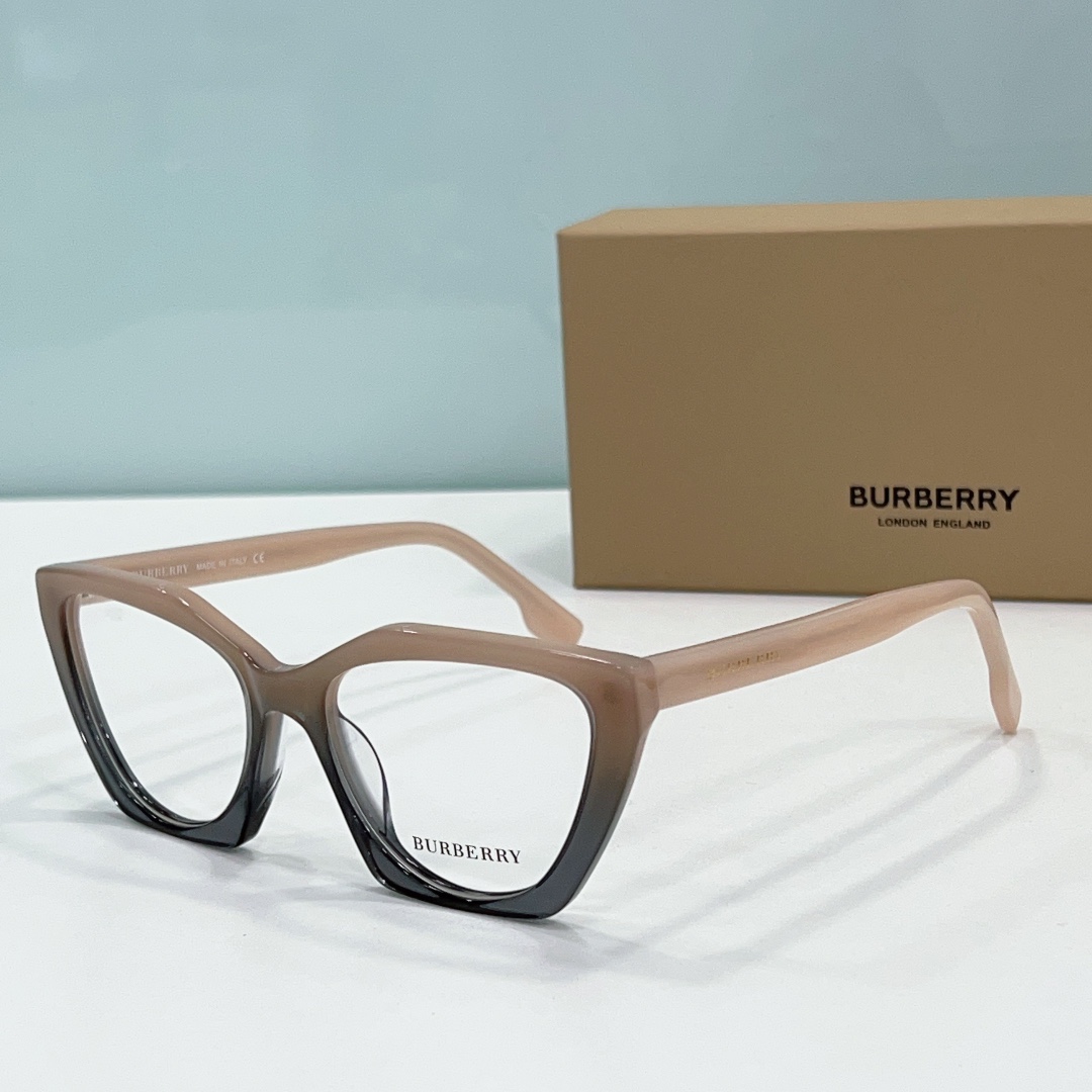 Burberry Sunglasses BB2394 SM501