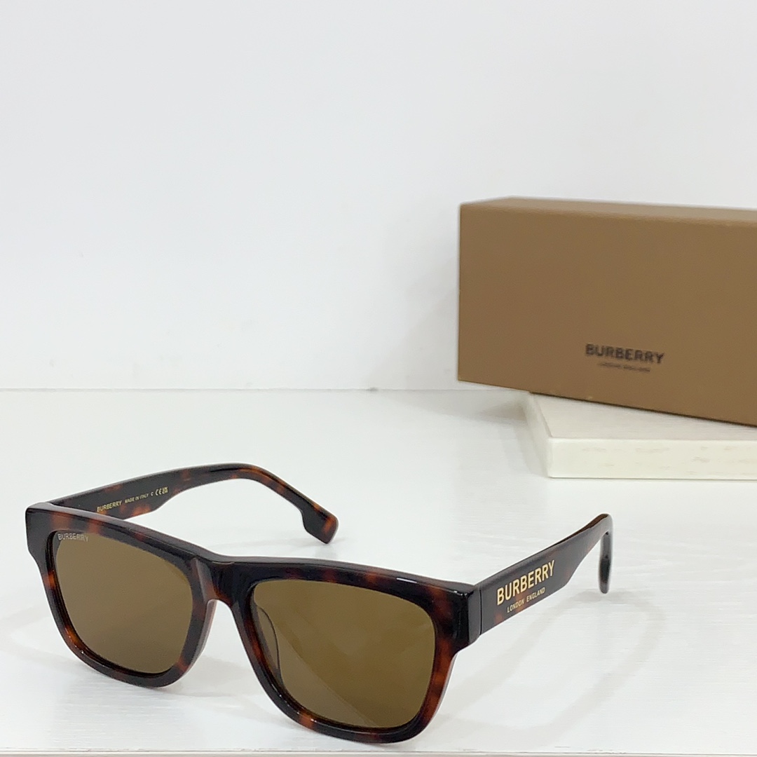Burberry Sunglasses BE 4293 SM051