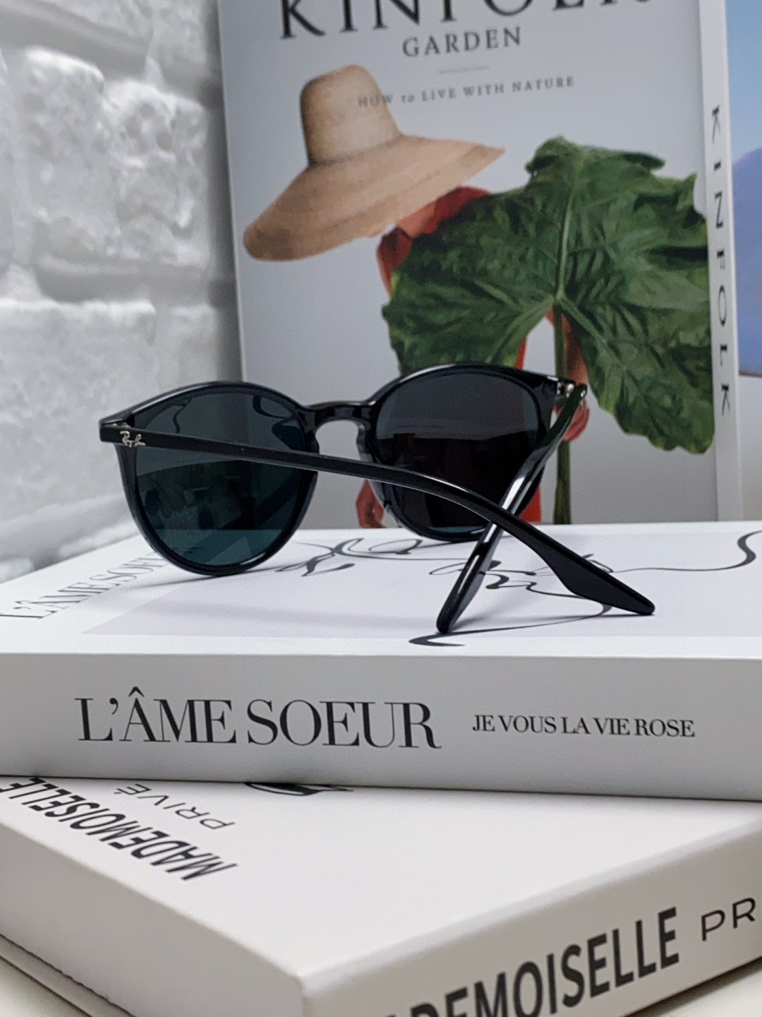 Ray-Ban Sunglasses BR2204