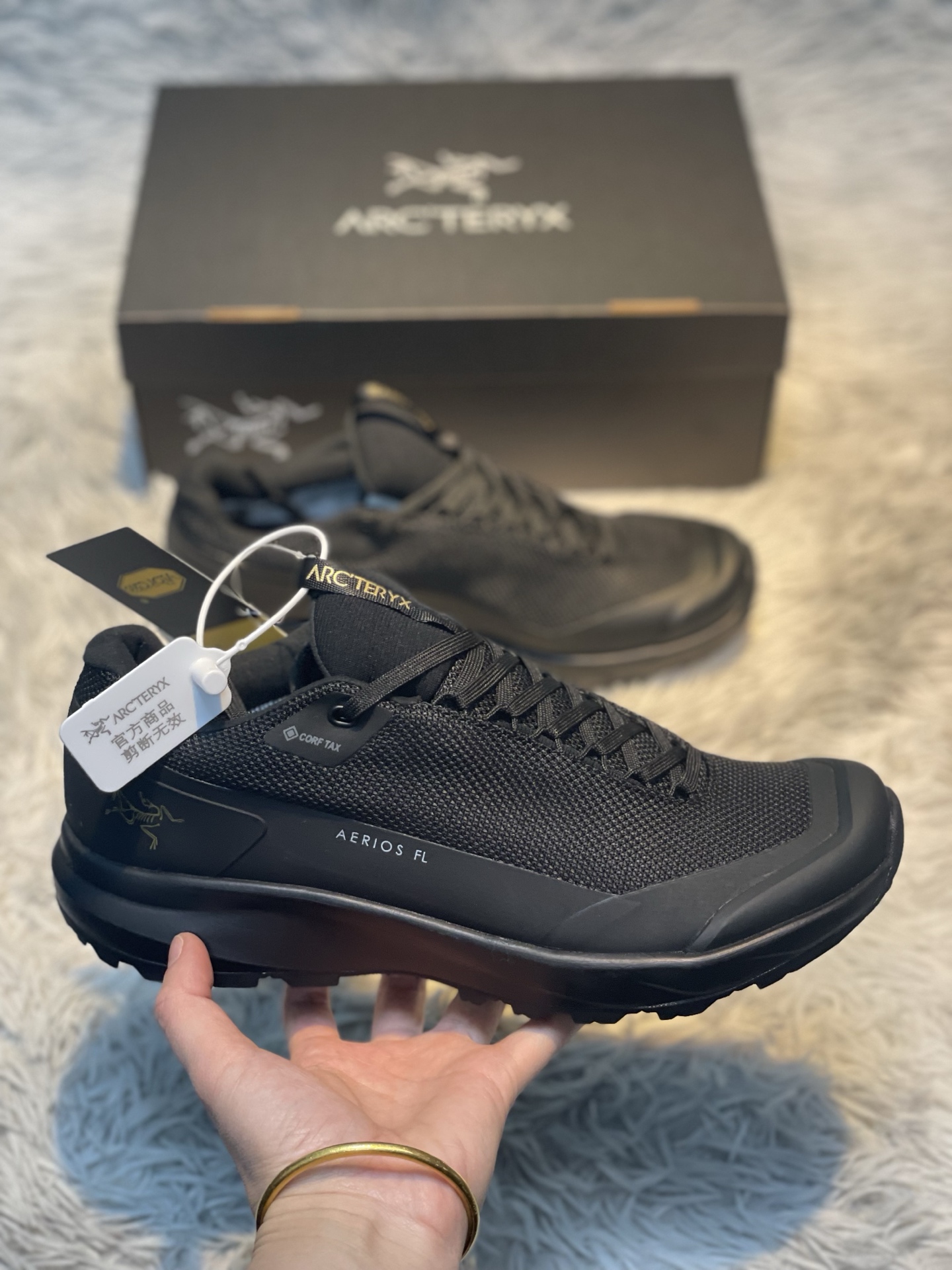 Arcteryx Sneakers Sports shoes  Aerios FL 2 GTX M