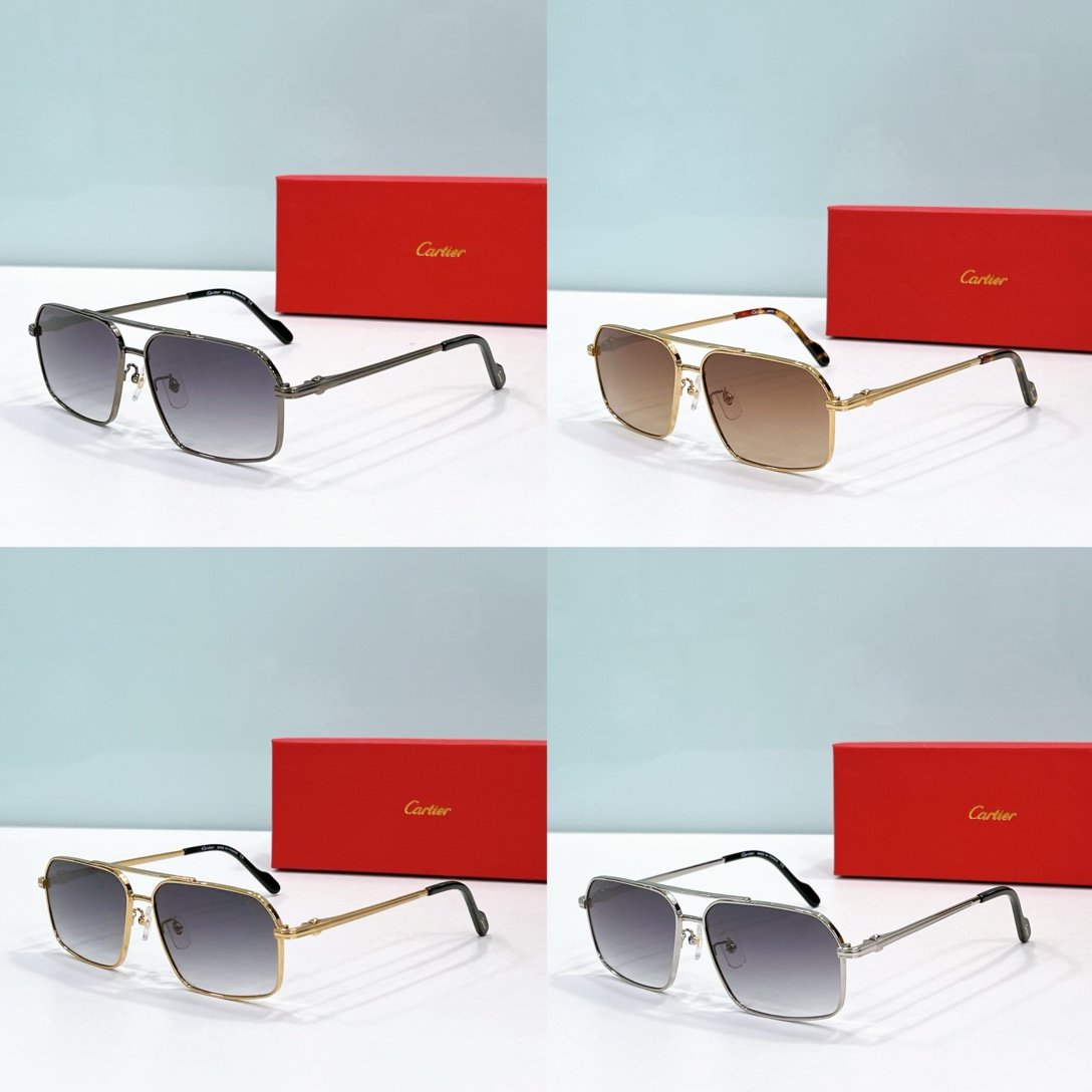 Cartier Sunglasses CA1203 SM021