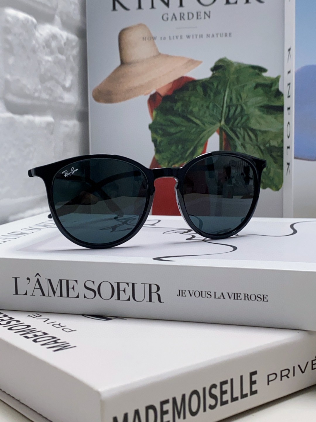 Ray-Ban Sunglasses BR2204