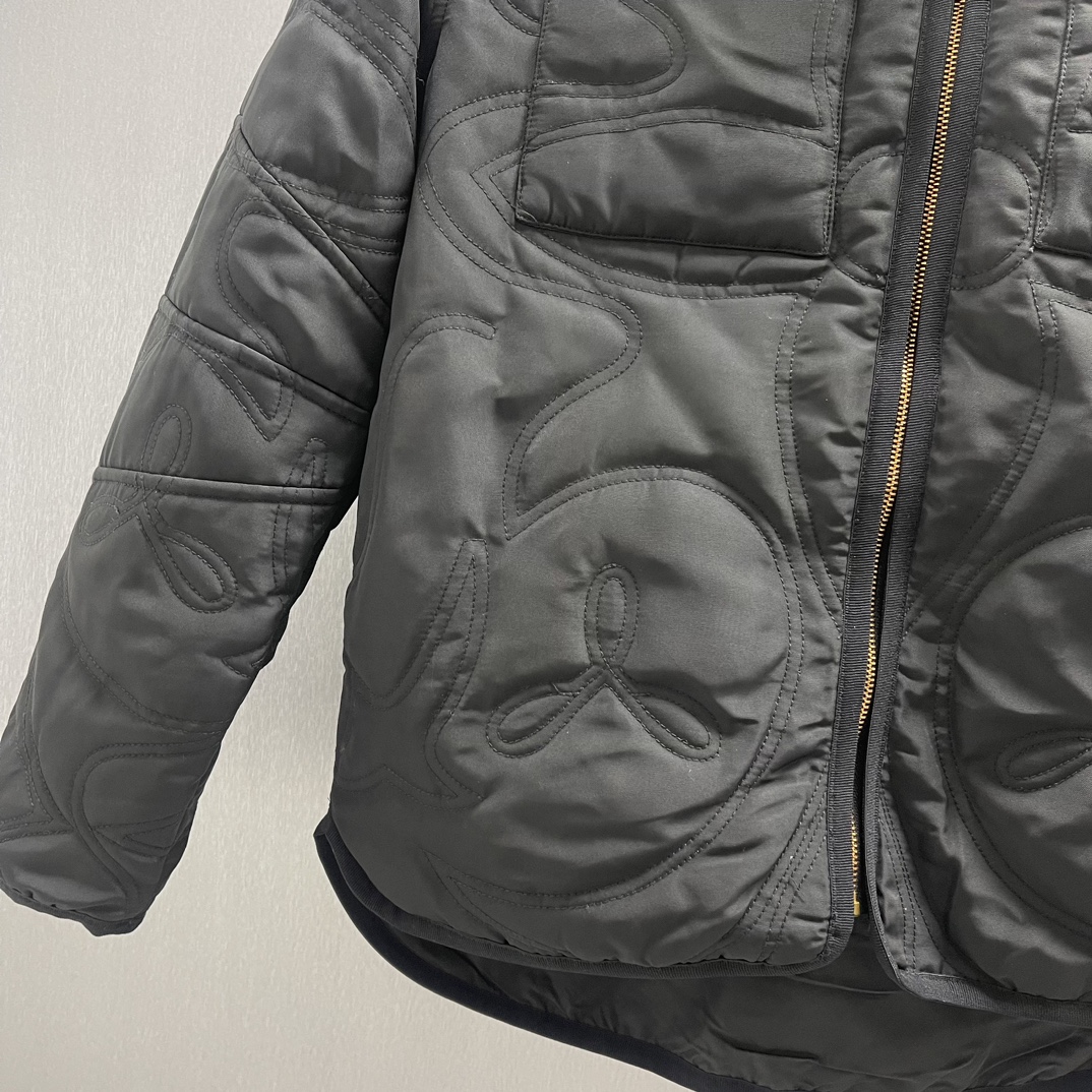 LV Down Jacket 003 M054