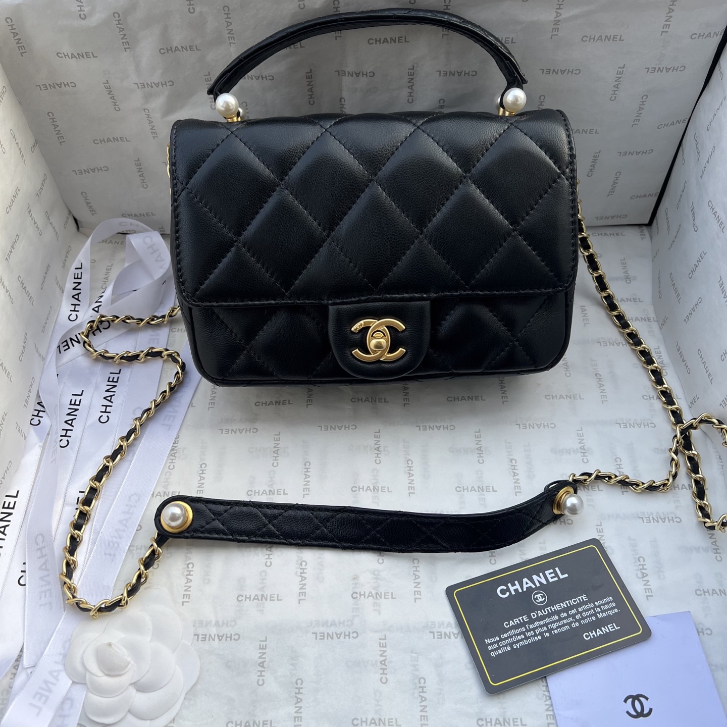 Chanel Camera bag 1225