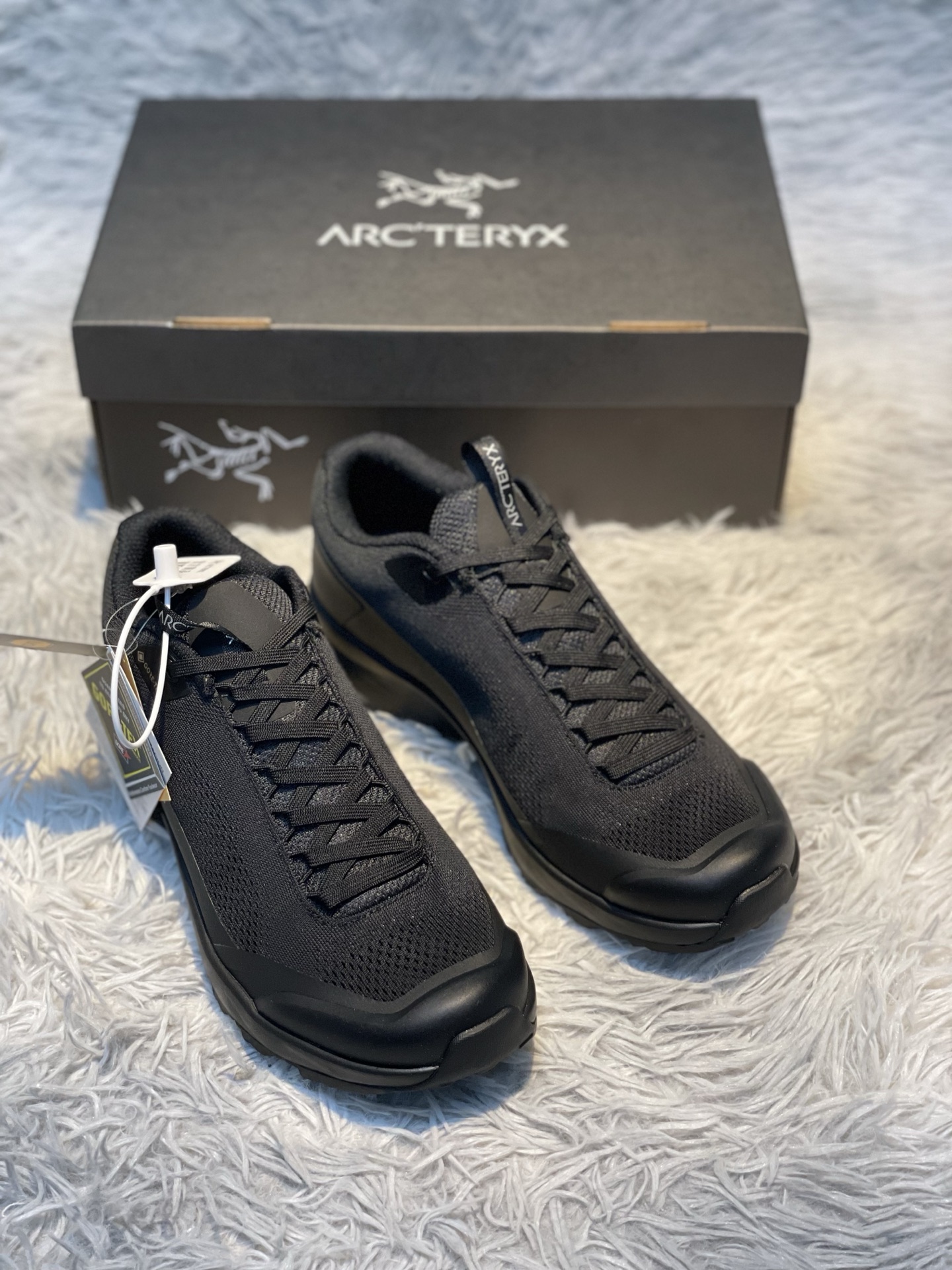 Arcteryx Sneakers Sports shoes AERIOS AURA