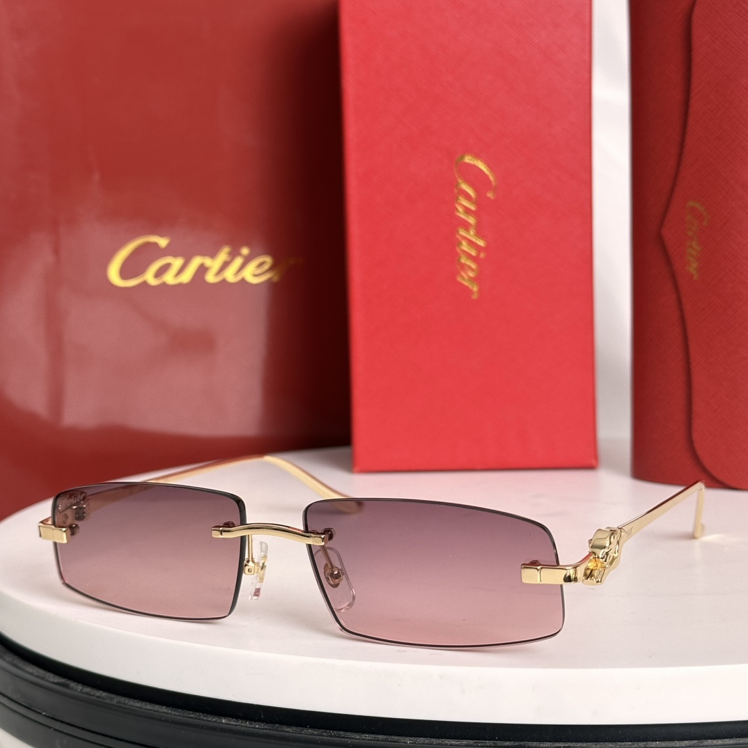 Cartier Sunglasses CT0505S SM021
