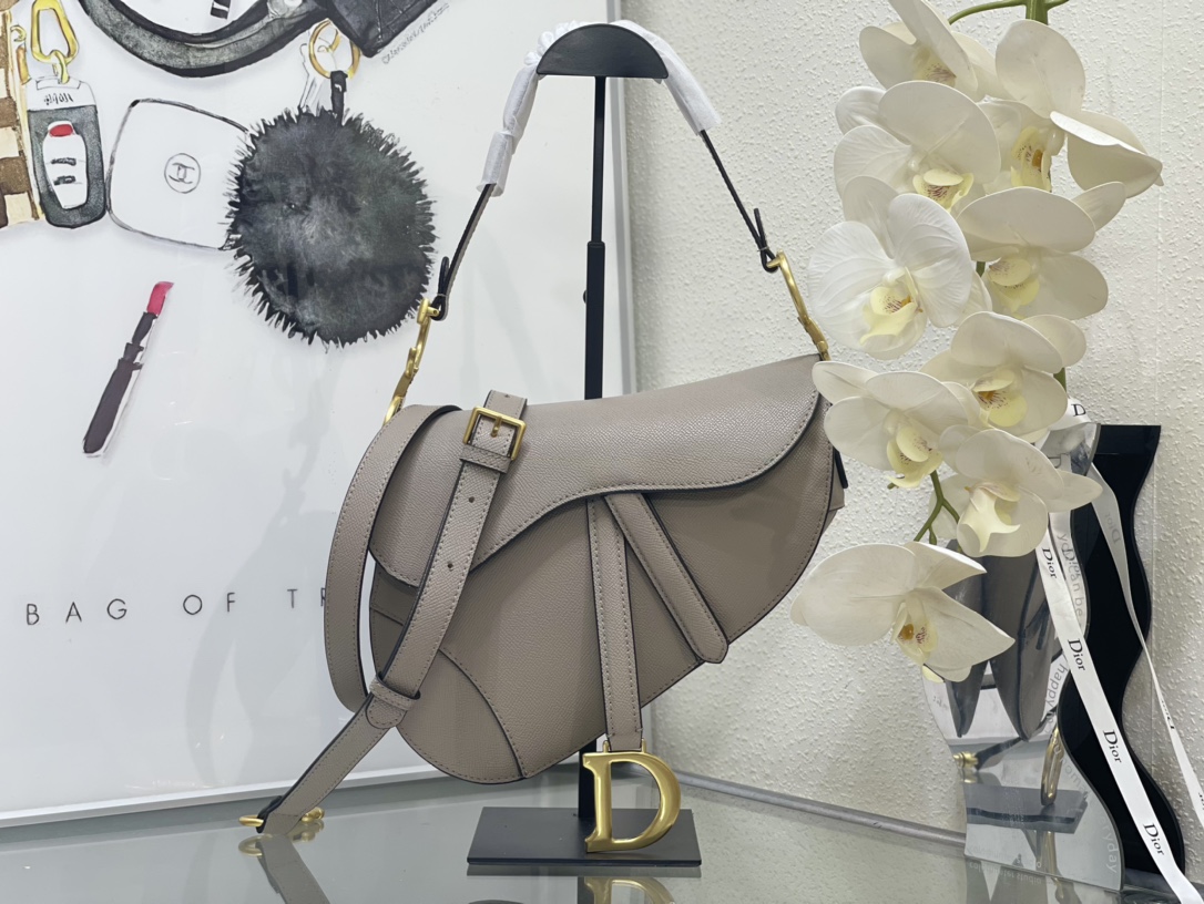 Dior Saddle Bag 5528 LM002 25.5cm