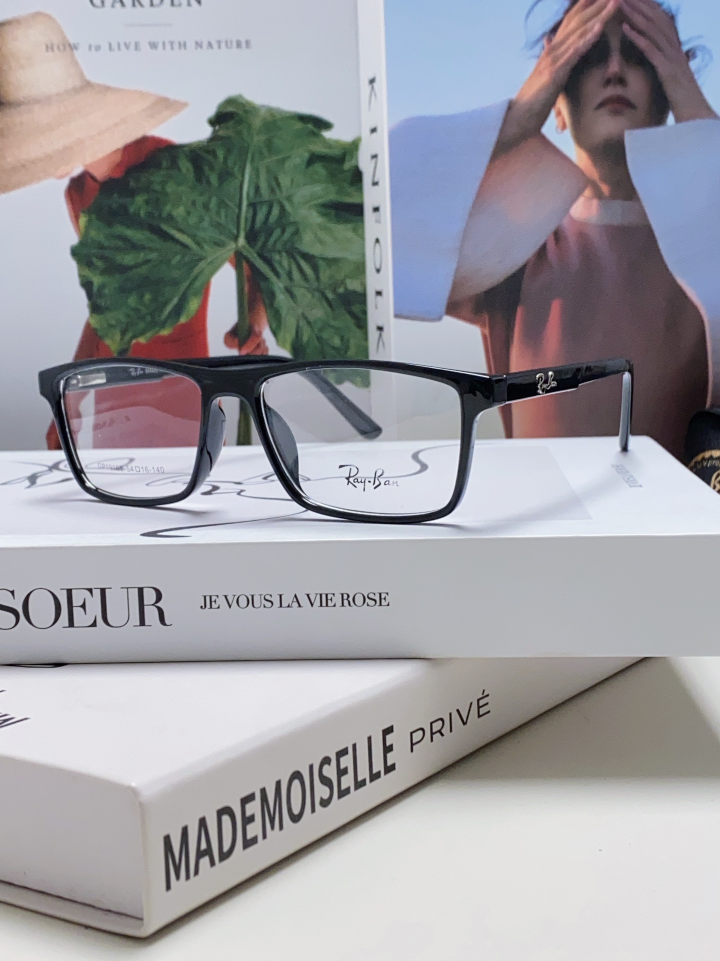 Ray-Ban Sunglasses RB19113