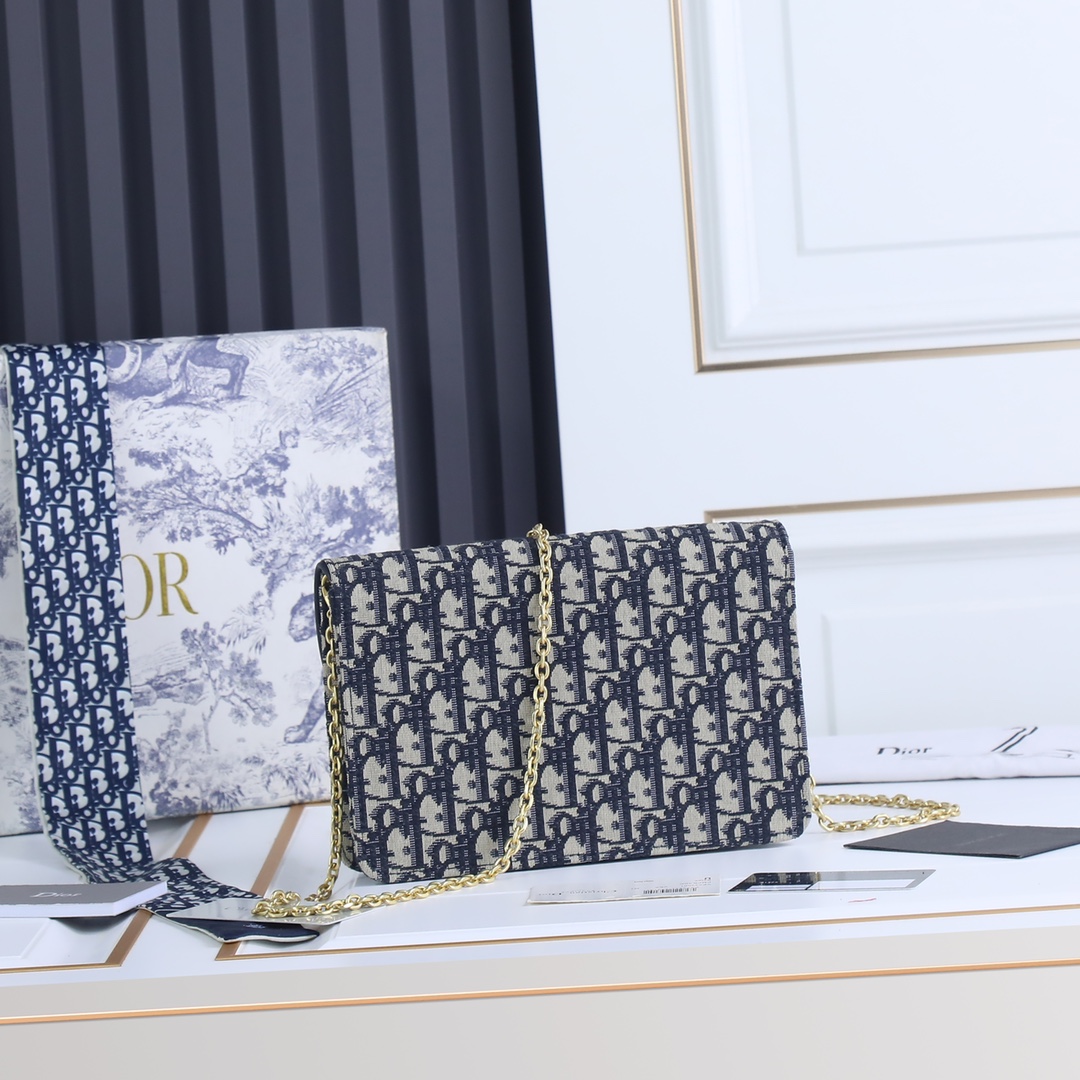 Dior Saddle Chain Bag 1010 LM031 22cm