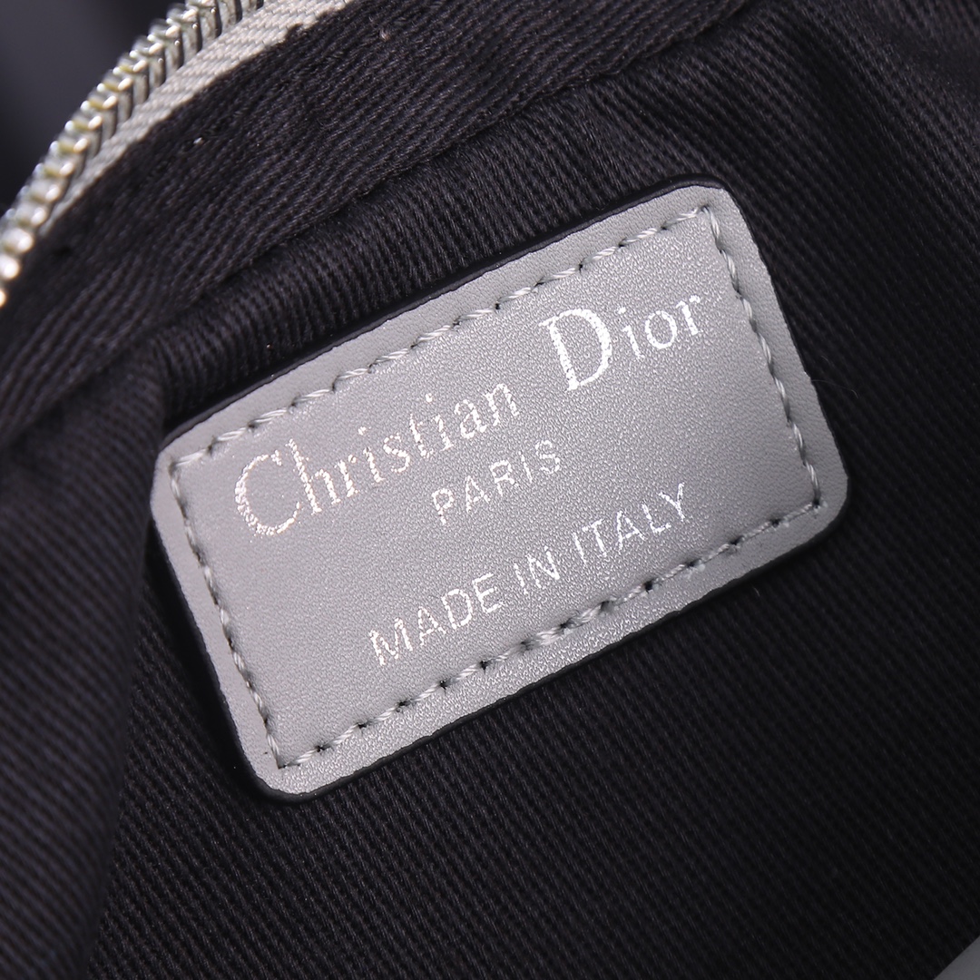 Dior Shoulder with coin purse Gray print 2345 LM071 19cm