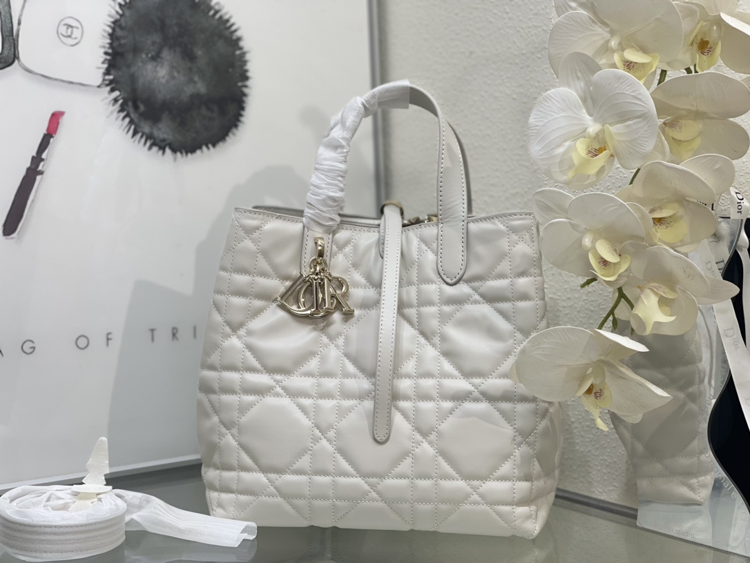 Dior Toujours Bag 0326 LM002012 18-24cm