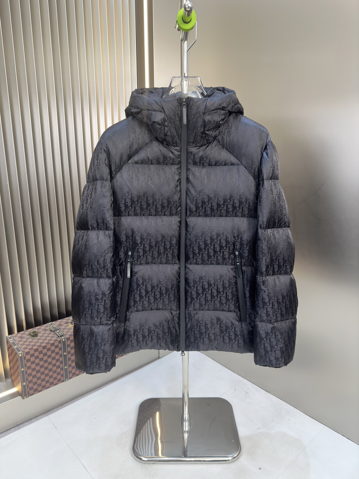 Dior Down Jacket Ladies' Favorite Clothes