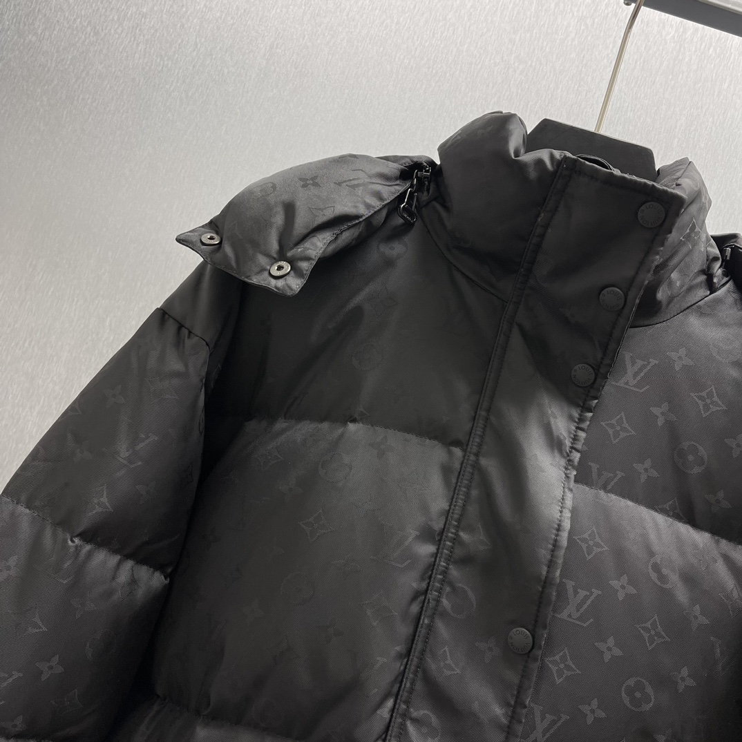 LV Down Jacket 002 M087