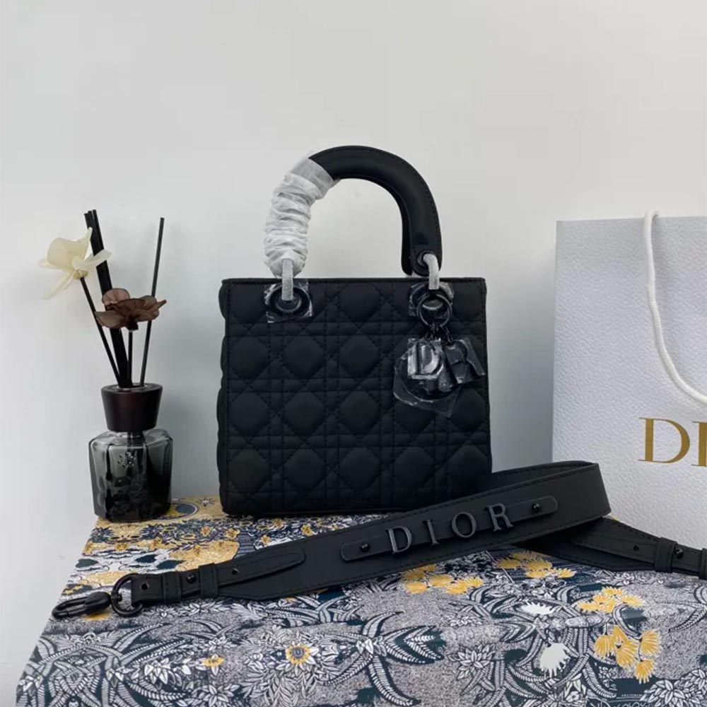 Dior004 22PJ002 20*16.5*8 cm