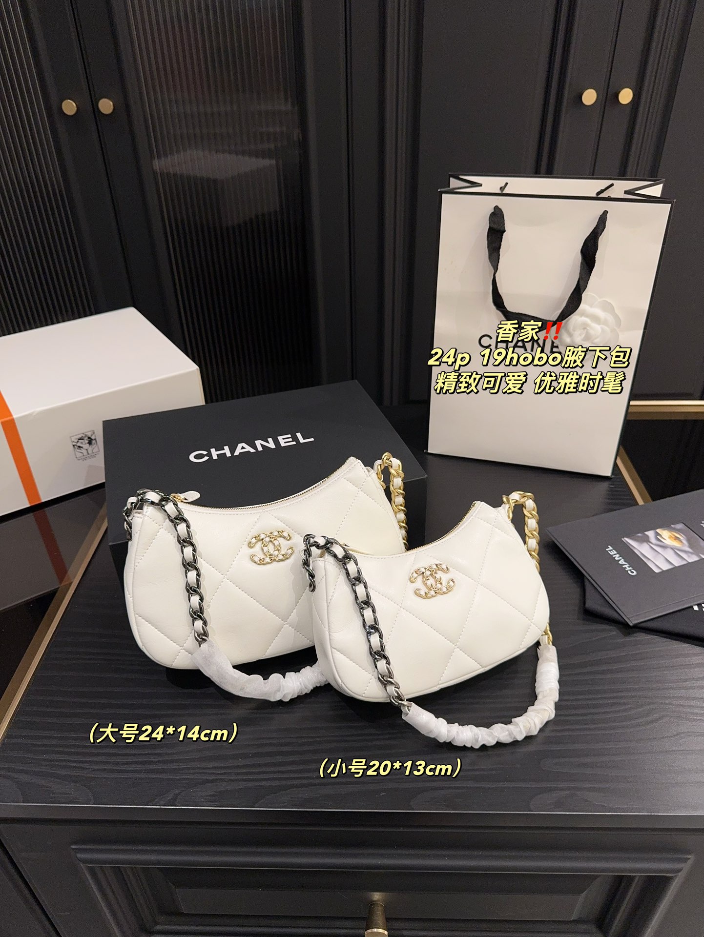 Chanel 24p 19hobo Bag 018 DB571 20-24cm