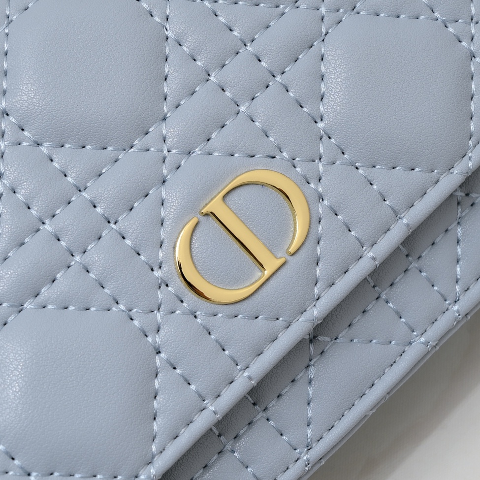 Dior Caro Pouch 5134 XB061 20cm