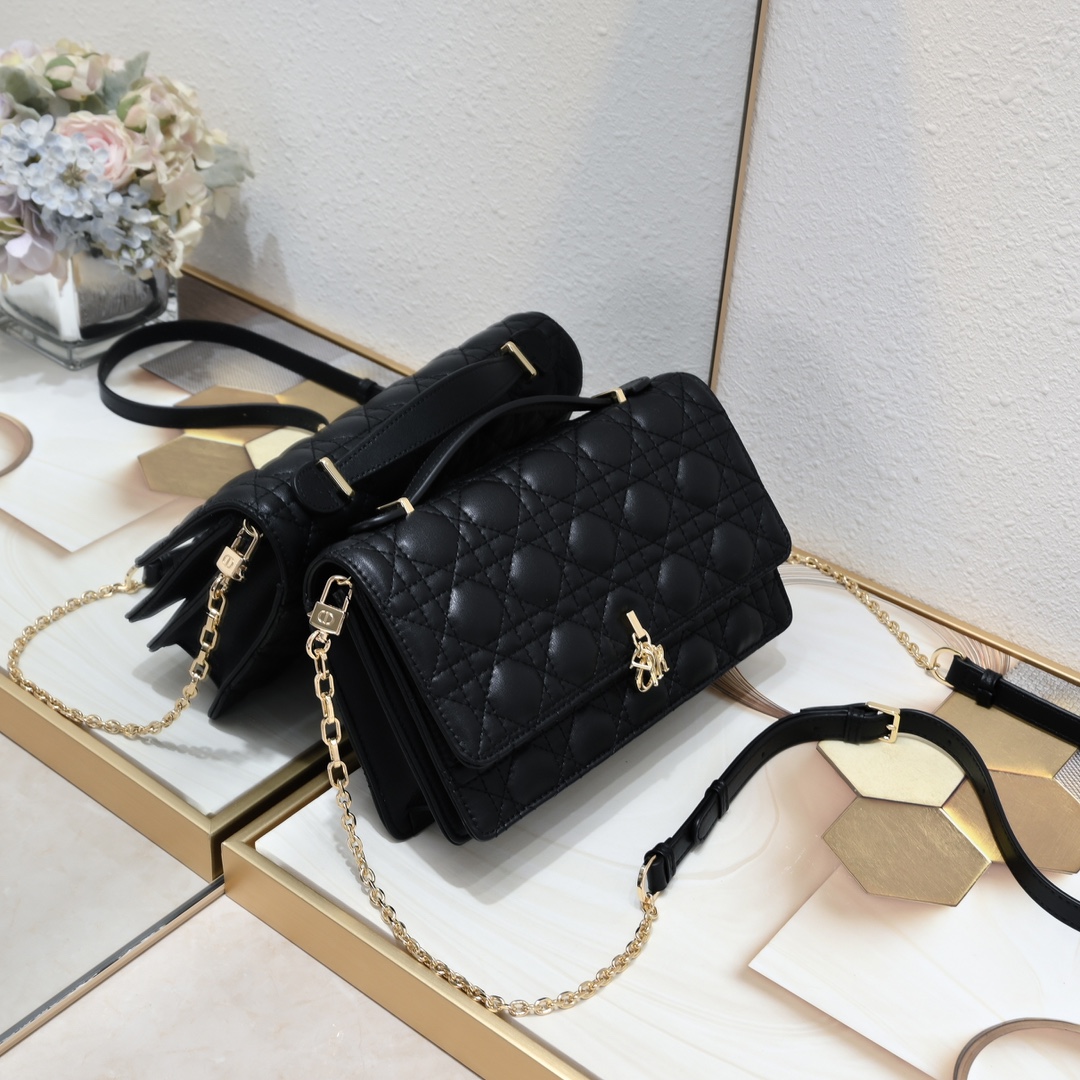 Miss Dior Top Handle Bag 9957 XB081 24cm