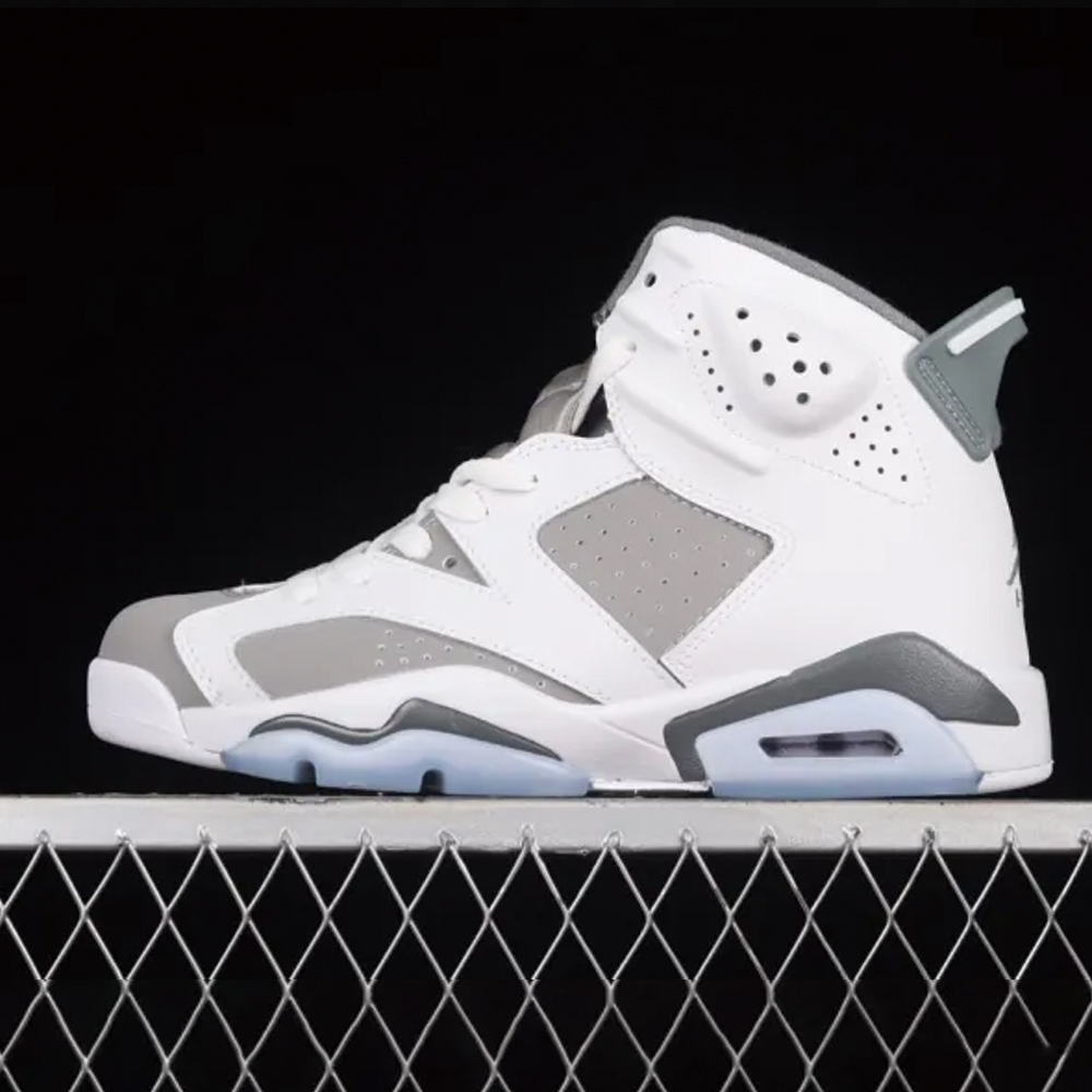 Air Jordan 6  Cool Grey  AJ6 CT8529-100 XM083