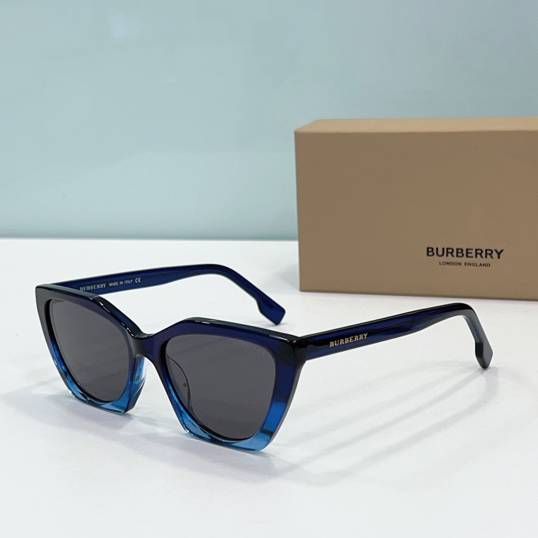 Burberry Sunglasses BB2394 SM021