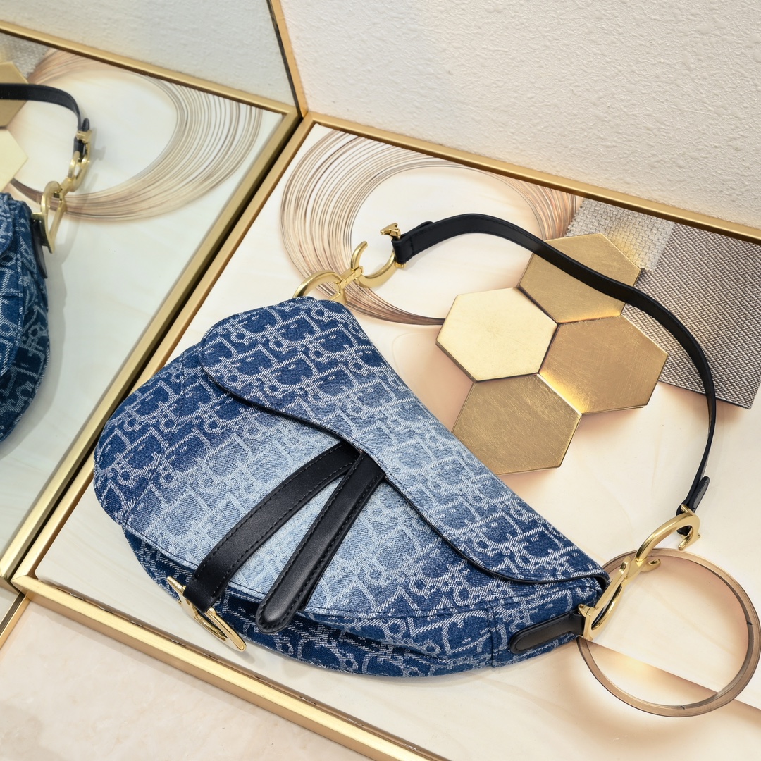 Dior Saddle Bag 6677 LM022 25.5cm