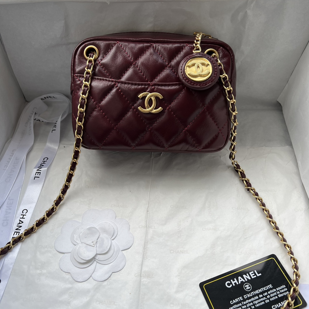 Chanel Camera Bag Cowhide