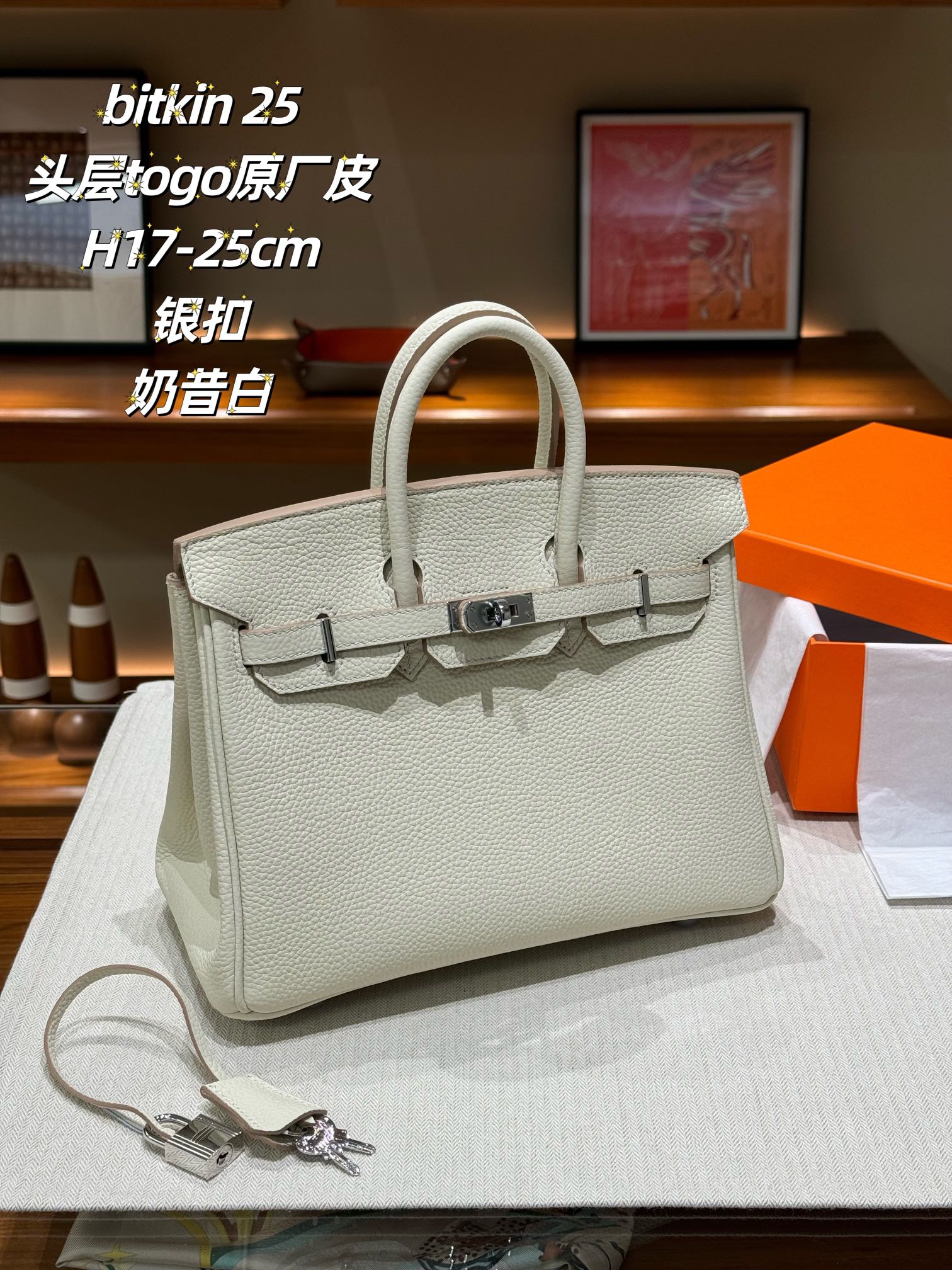 Hermes Birkin Bag Silver hardware XYZ032 25cm