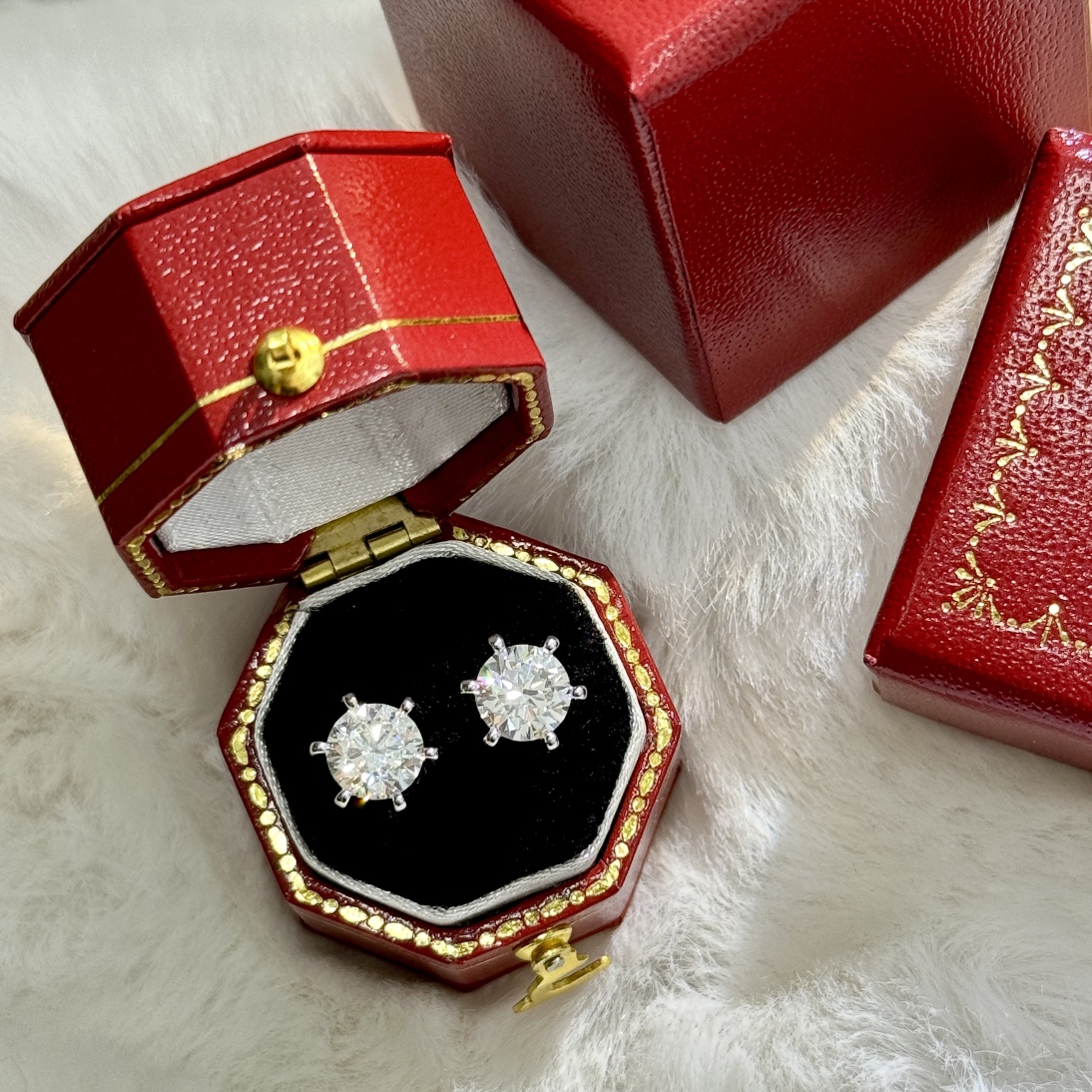 Tiffany & Co. Earring 007