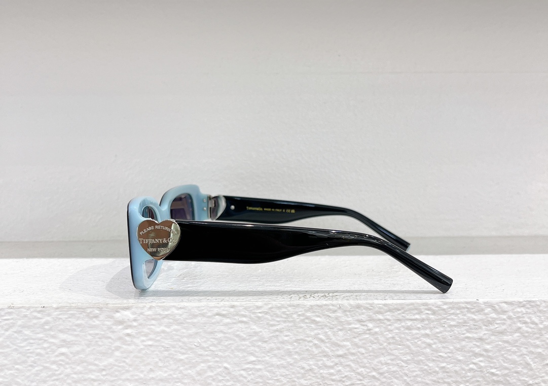 Tiffany & Co. Sunglasses TF5011 SM041