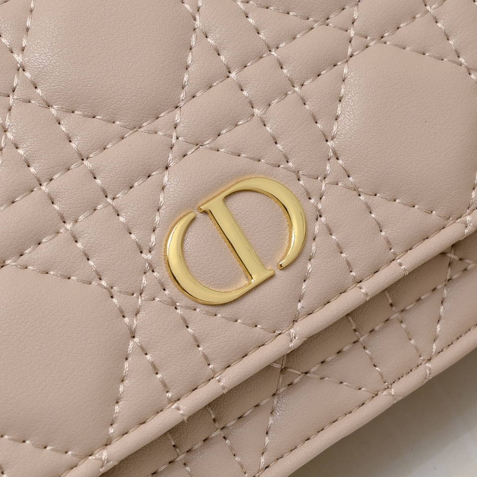 Dior Caro Pouch 5134 XB061 20cm