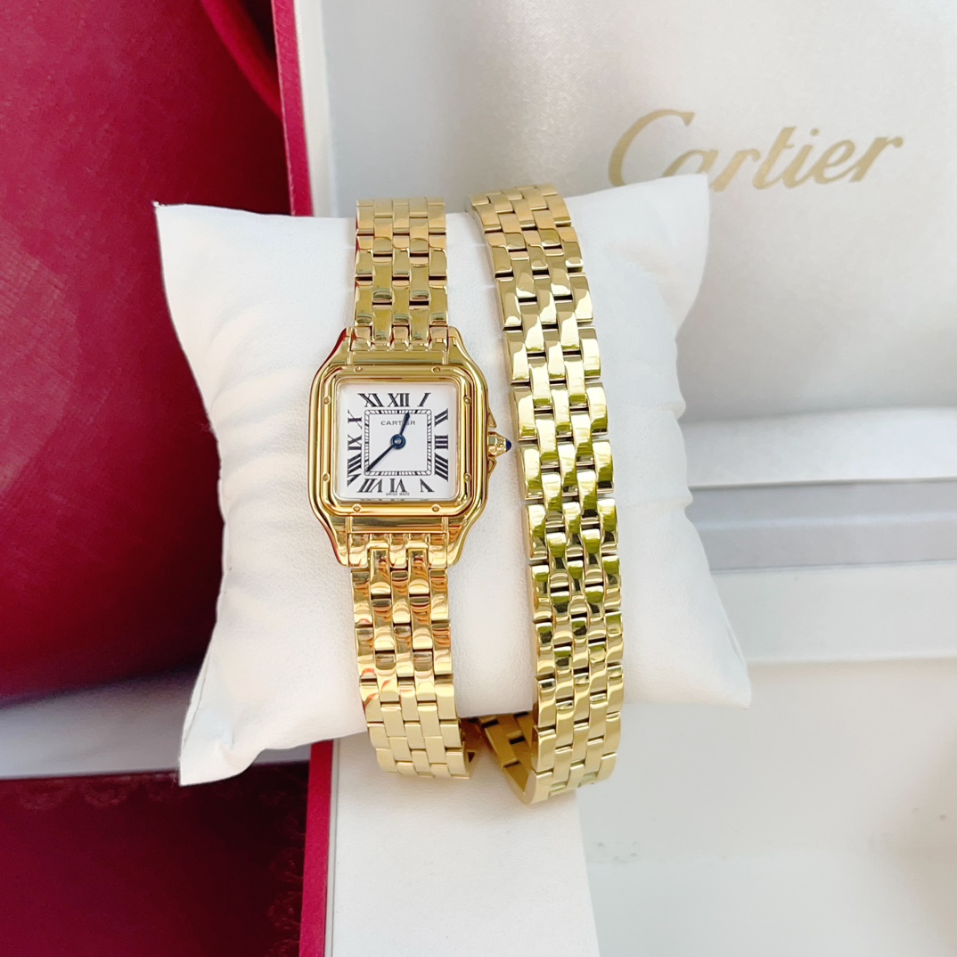 Panthère de Cartier double chain 22*30mm