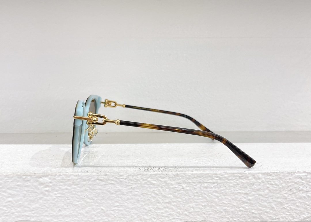 Tiffany & Co. Sunglasses TF4223 SM041