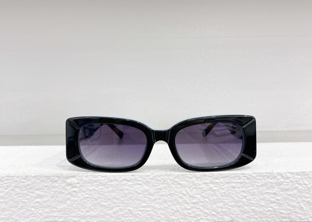 Tiffany & Co. Sunglasses TF5011 SM041