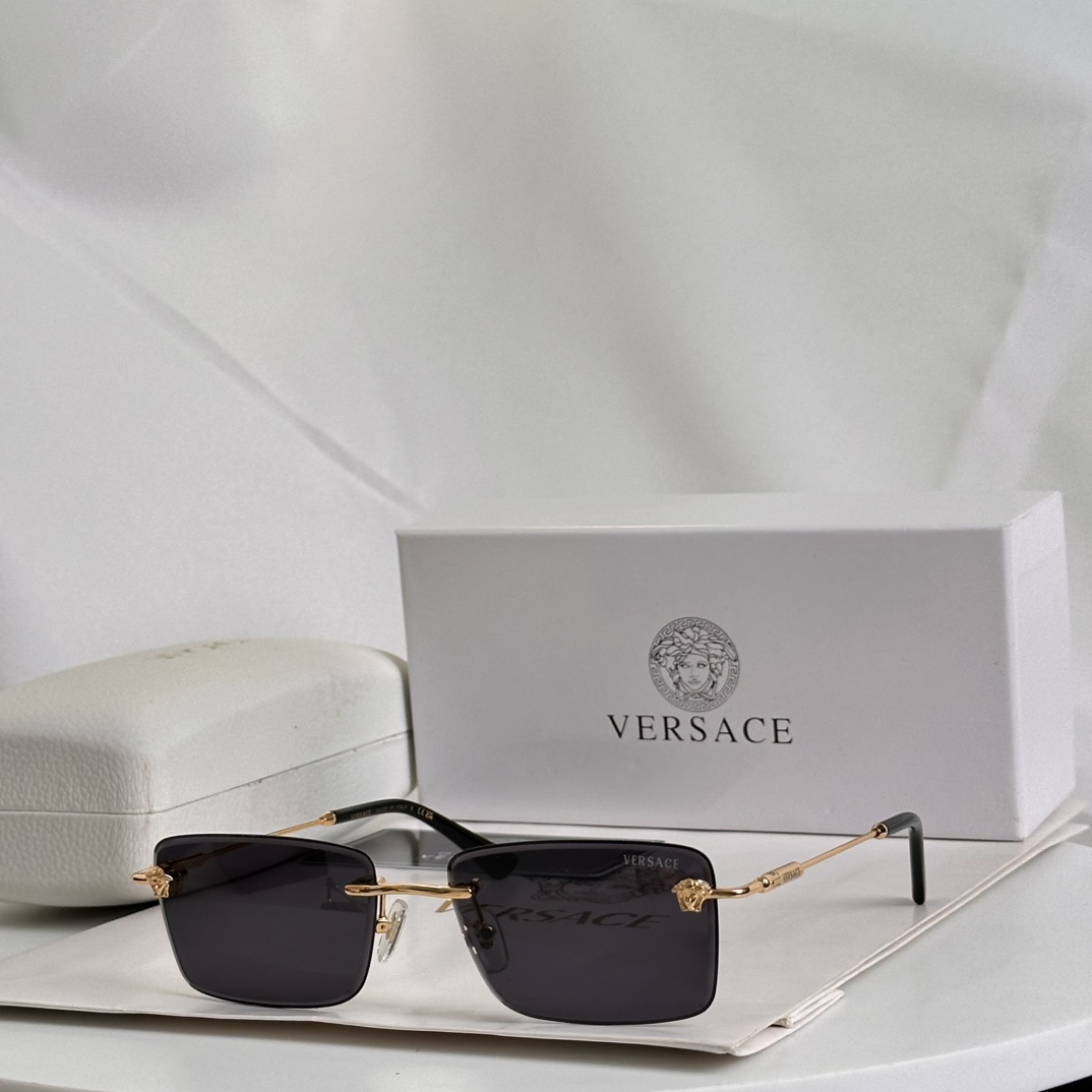 Versace Sunglasses VE6813 SM051
