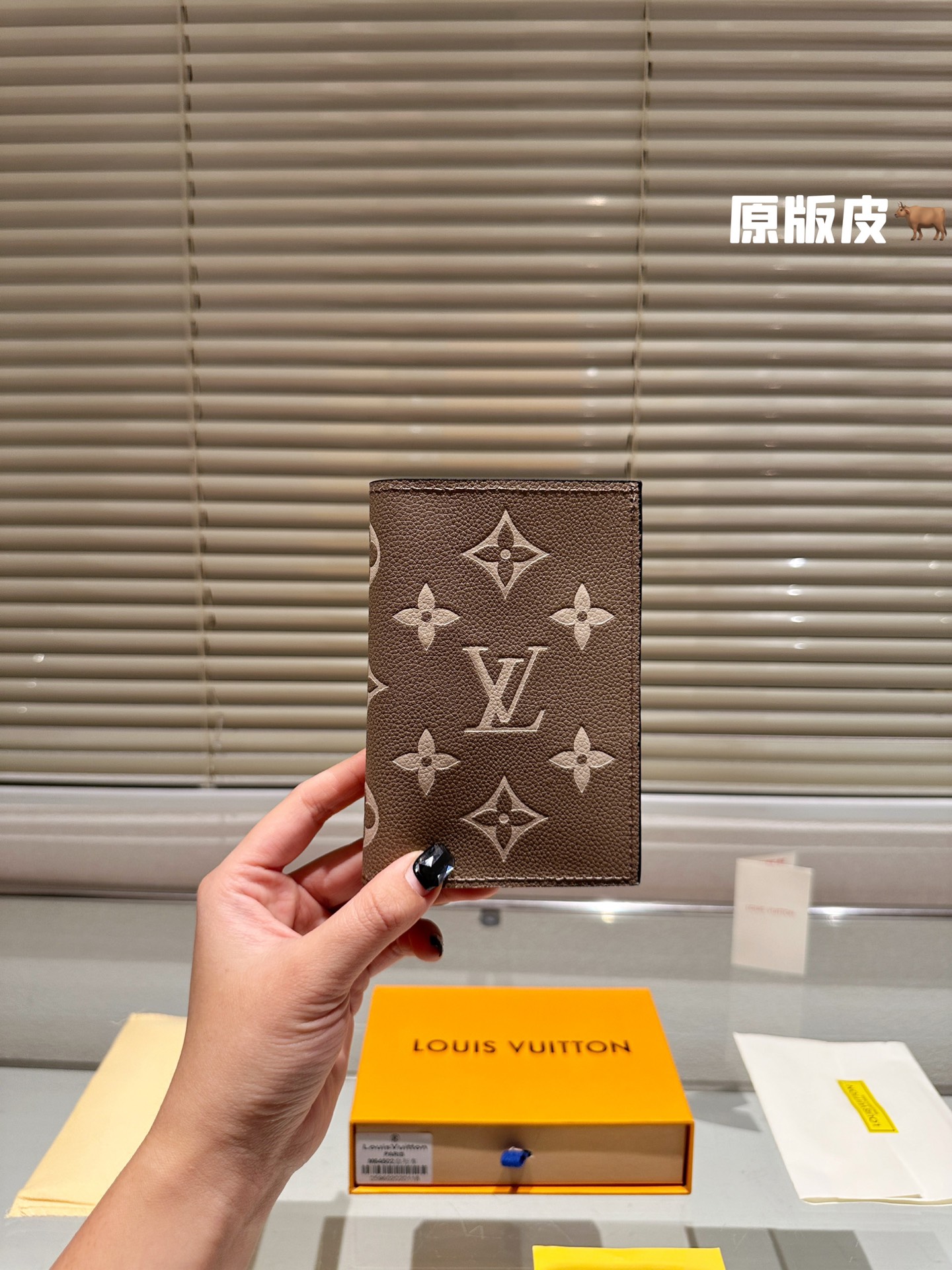 LV Passport holder 008 DB511 10cm