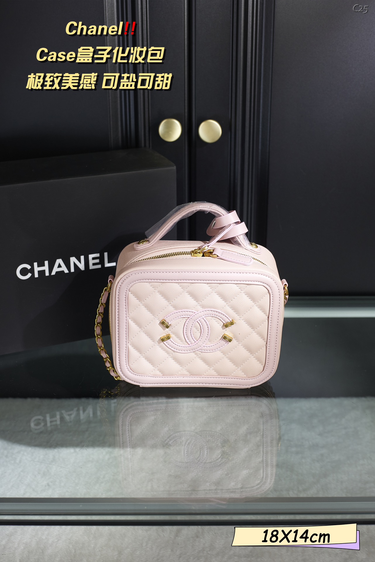 Chanel Case Bag Cosmetic Bag 008 DB571 18cm