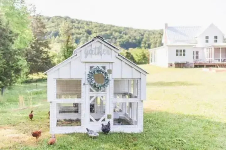 【Pet】Big fairy tale town chicken coop