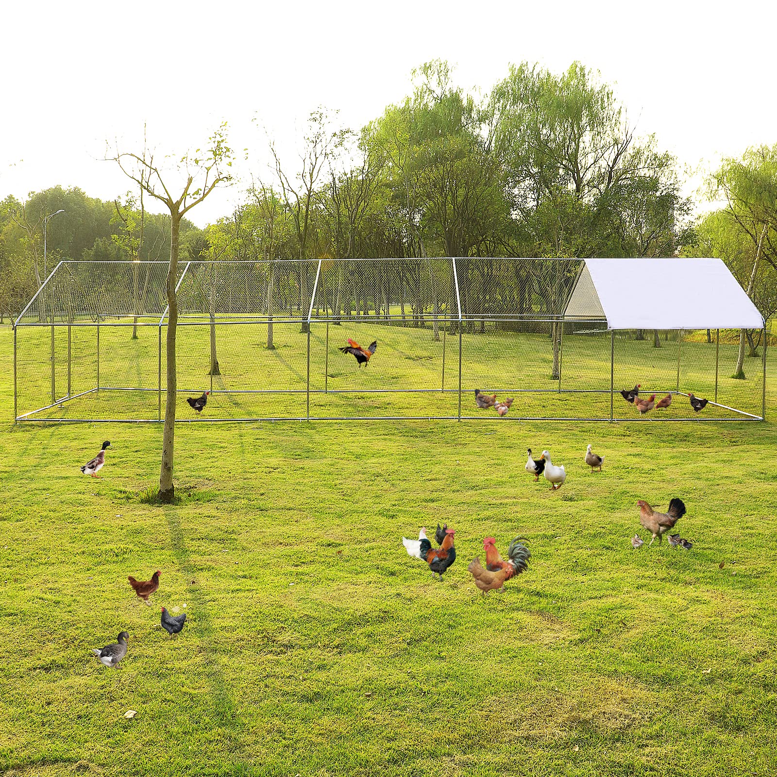 【Home&Garden】【BS】Chicken Coop, Large Metal Walk-in Poultry Cage Kennel with Waterproof Cover
