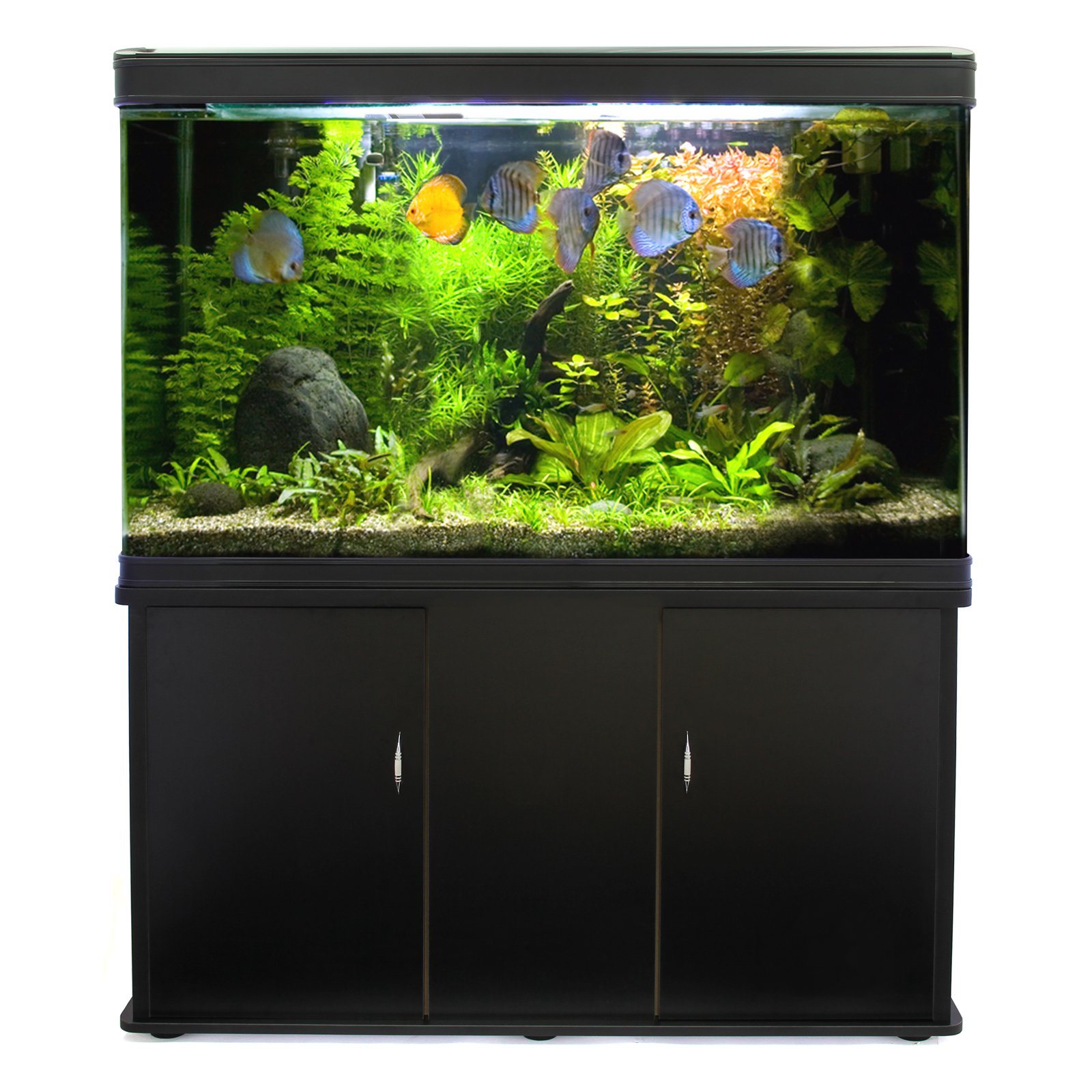 【Furniture】【BS】Large Fish Tank Aquarium 4ft 300L Marine Tropical Salt Water Freshwater & Complete Starter Kit