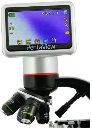 Celestron 44341 Professional 5MP LCD Digital Microscope II, 4x-1600x Magnification, Black/Silver (Pack of 2)
