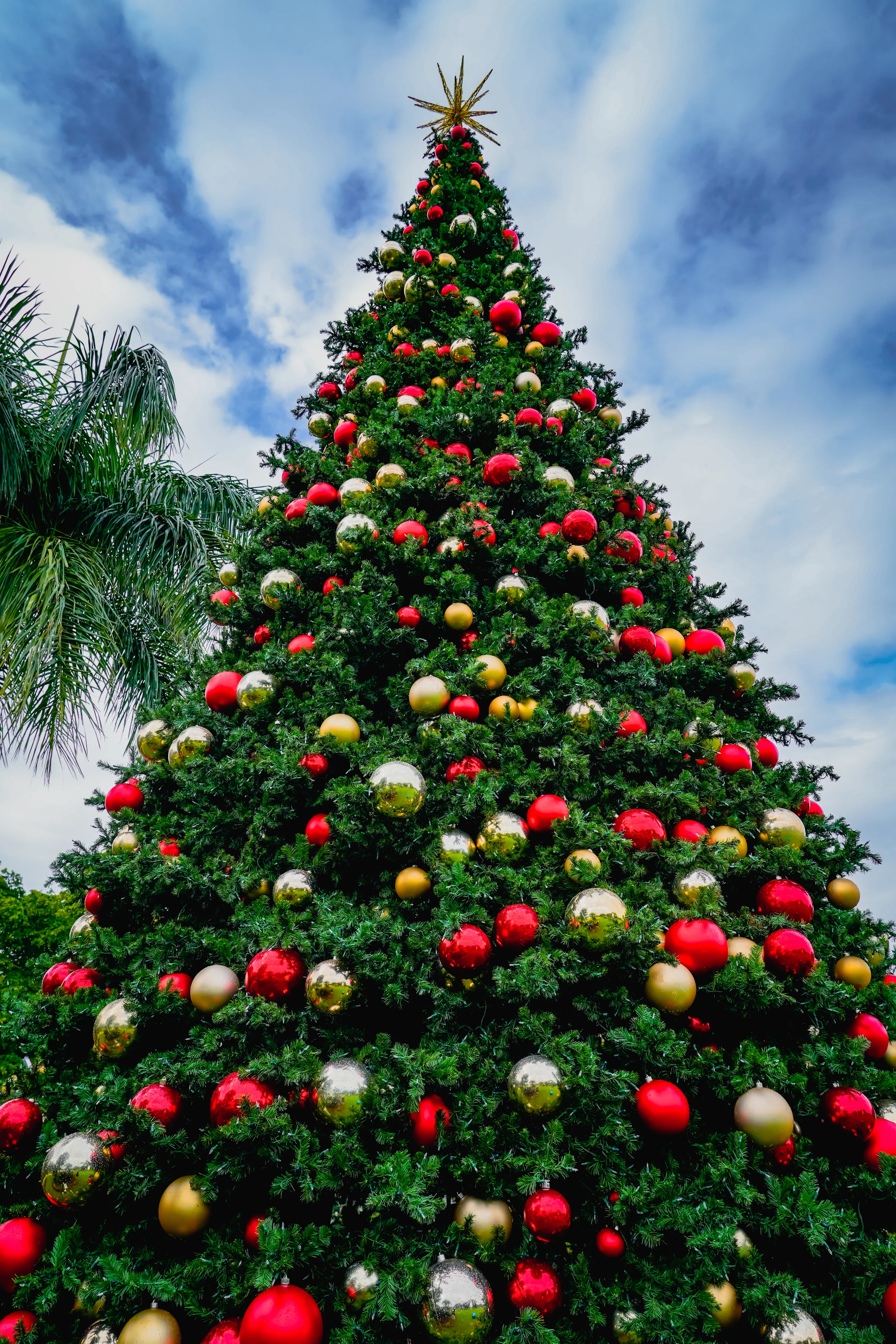 Olympia Tree Pre-Lit Warm White LED Lights