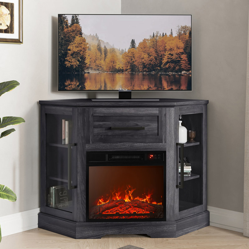 Lakeisha TV Stand for to 43
