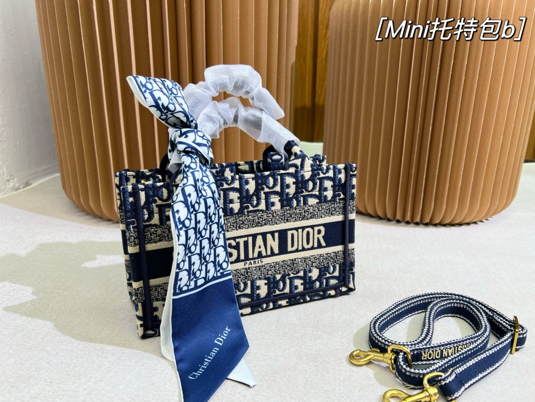 DIOR Book Tote Oblique Canvas Mini Bag