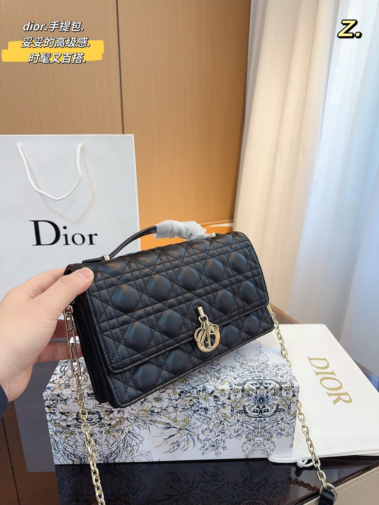 Dior Top Handle shoulder Bag