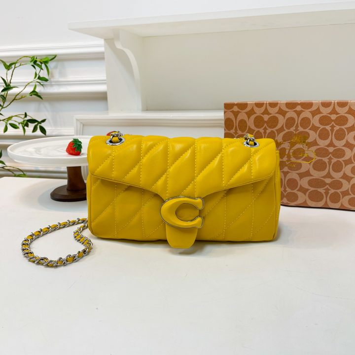 coach Tabby chain bag