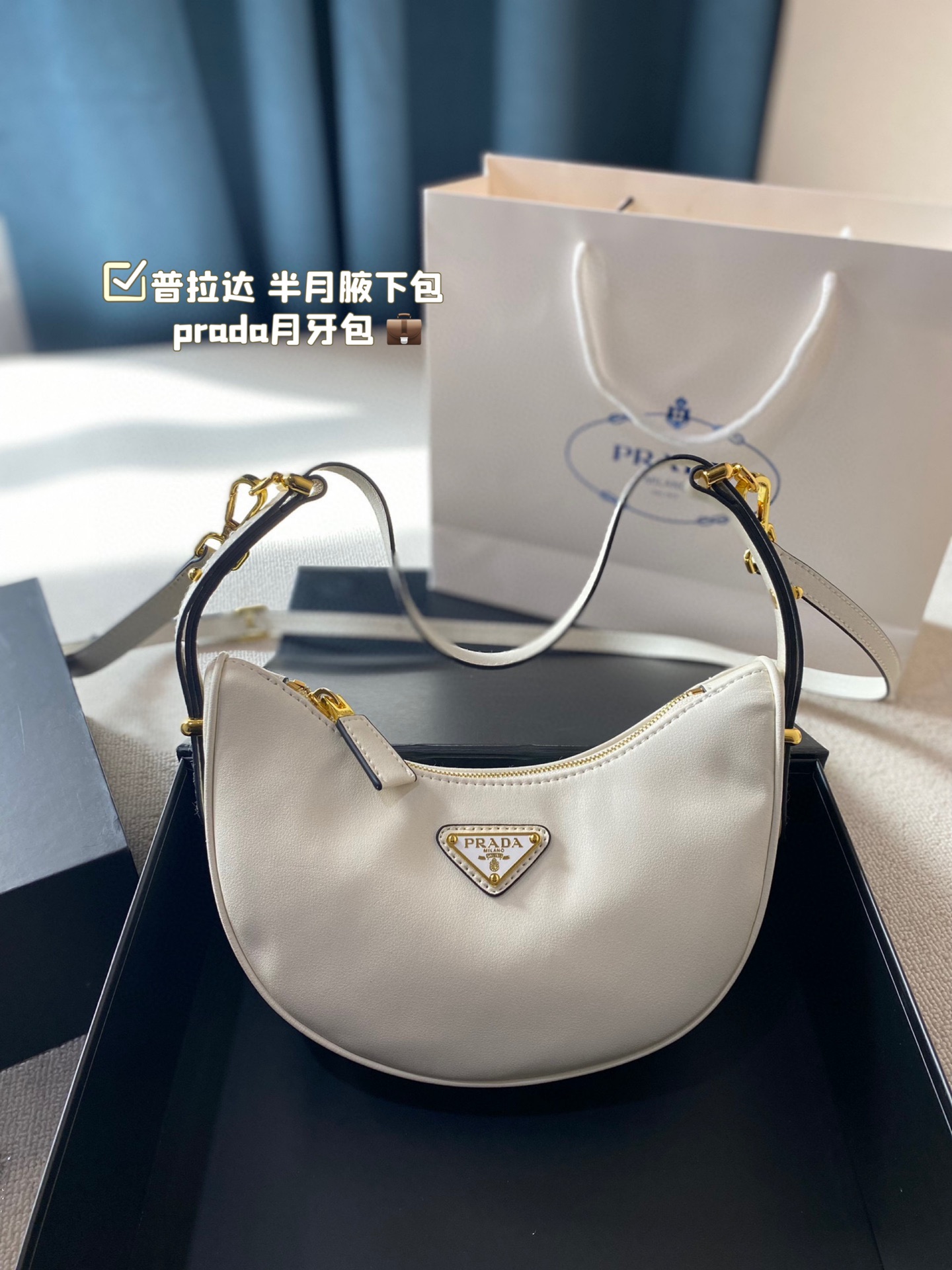 Prada leather Hobo moon bag