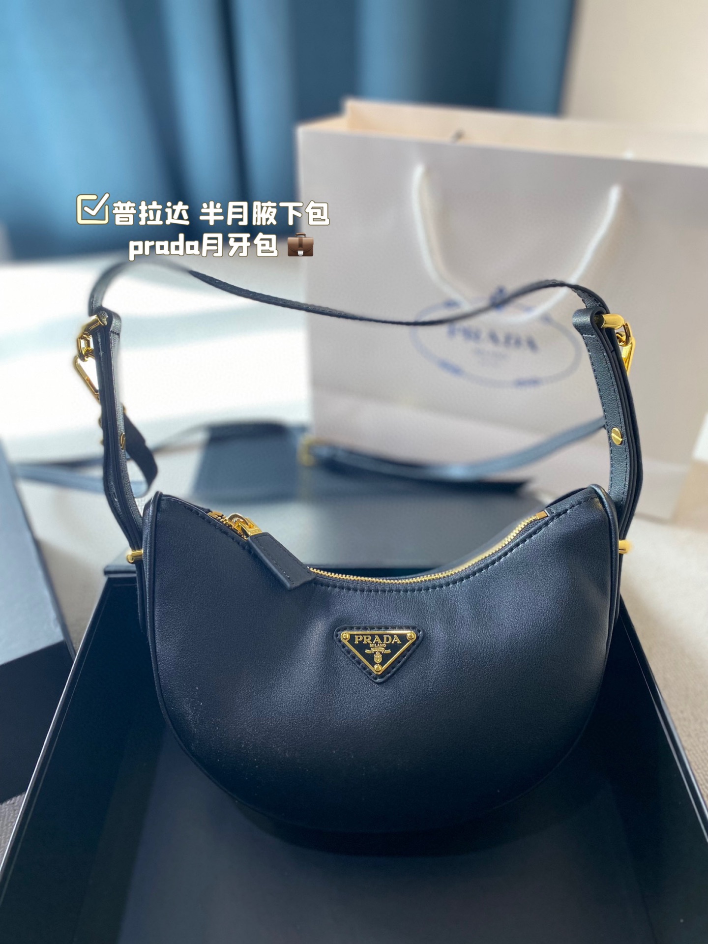 Prada leather Hobo moon bag