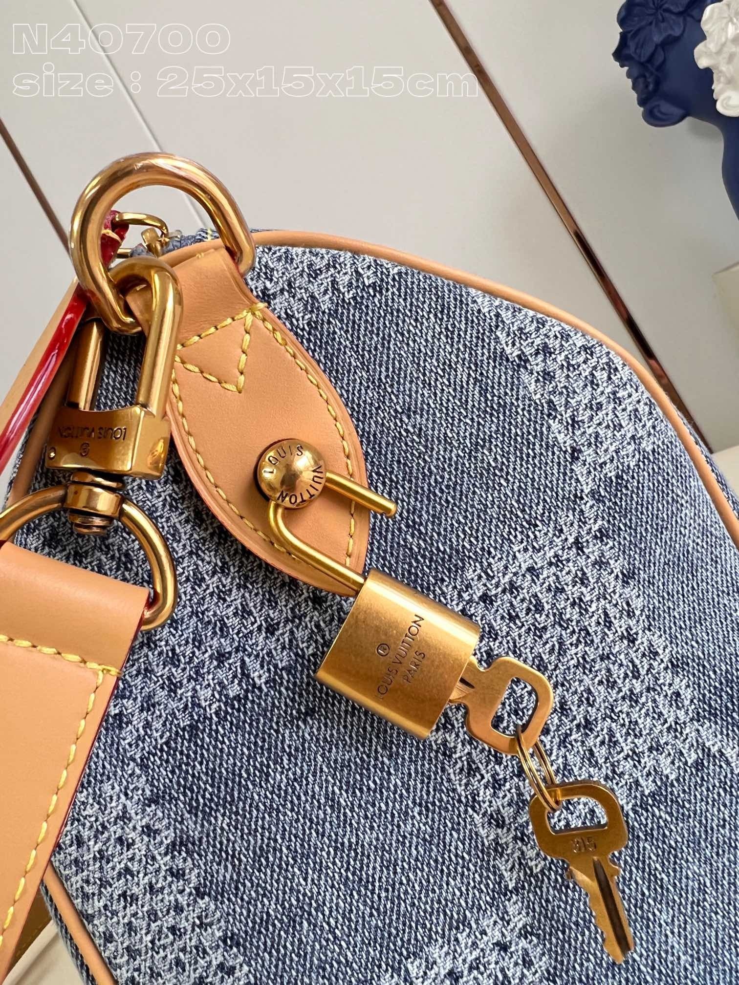 LV Top Quality Louis Vuitton Speedy 25 Bandoulière bag